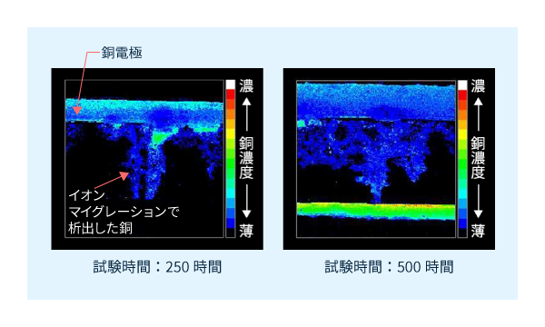 銅元素の分布確認