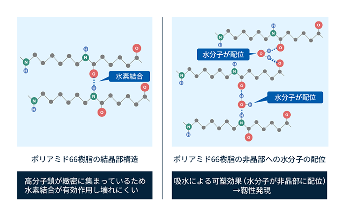 ポリアミド66樹脂における水素結合と吸水時における水分子配位の様子