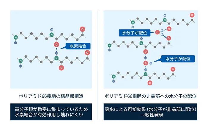 図3　ポリアミド樹脂（ナイロン樹脂）の中の水素結合と水分子の配位