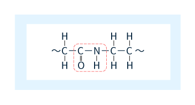 Hình 1: Liên kết amide.